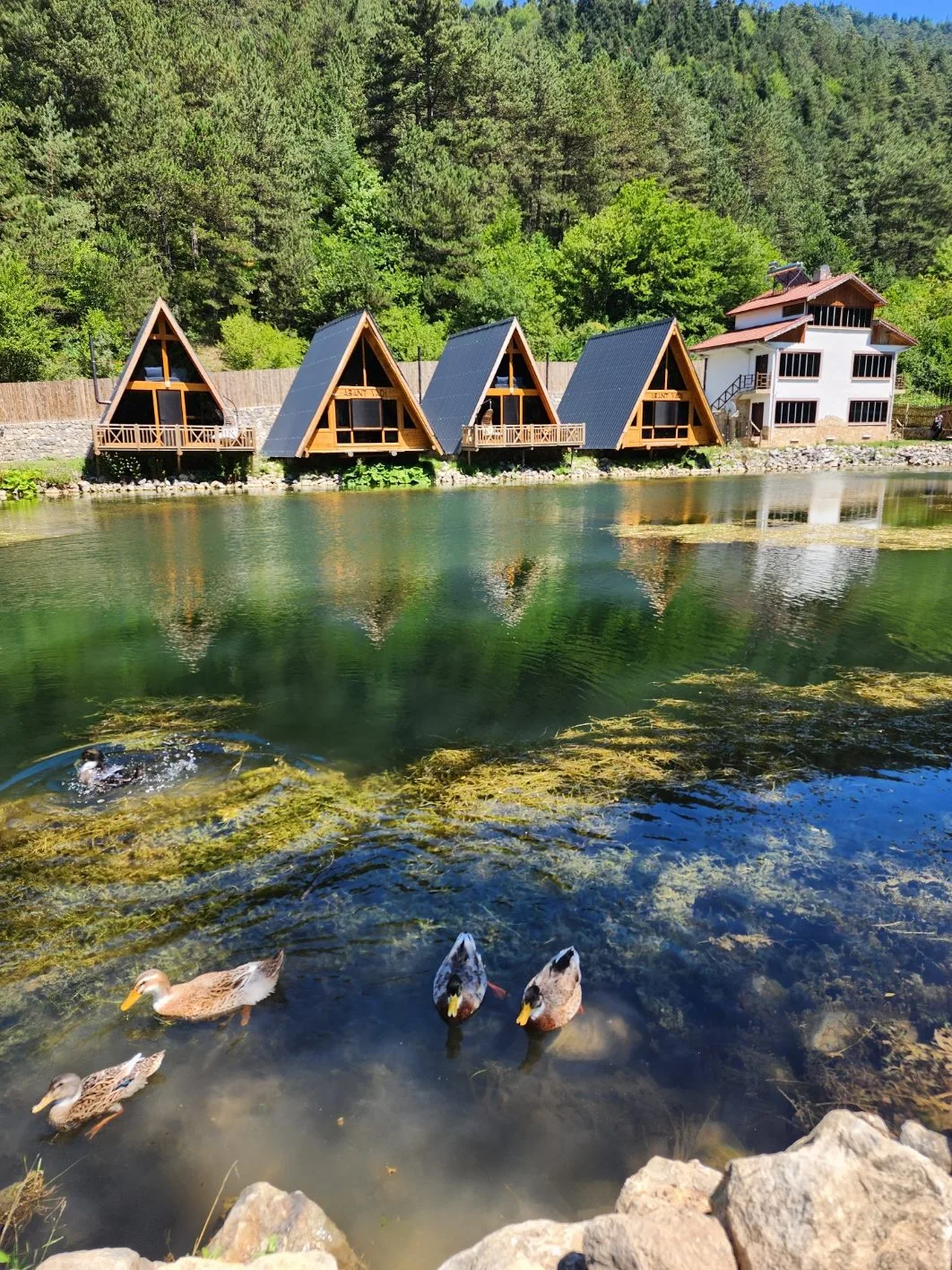 Abant Vadi Bungalov - Abant