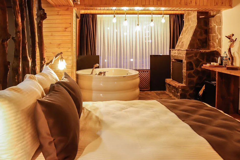 Abant Hitit Otel 3