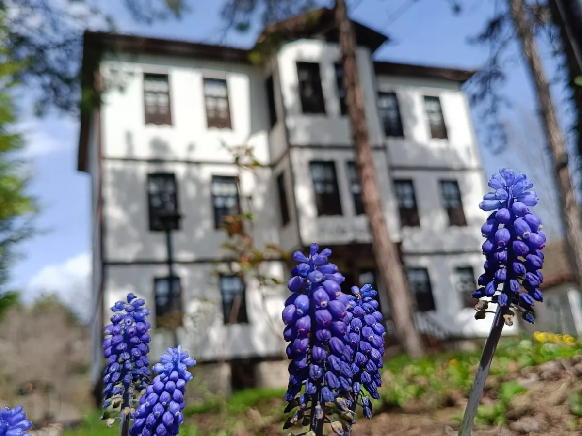 Asya Konak - Safranbolu