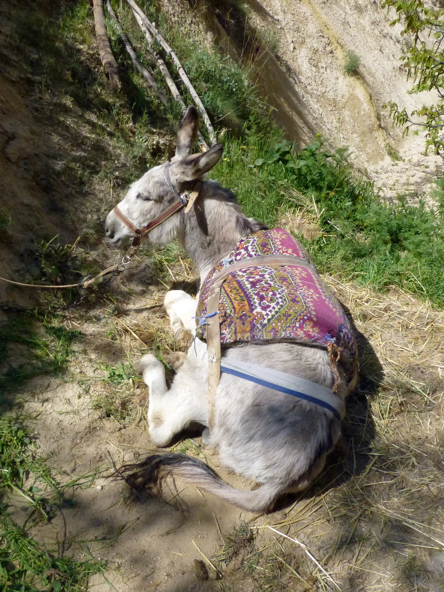 Kızılçukur Vadisi yürüyüş alanı