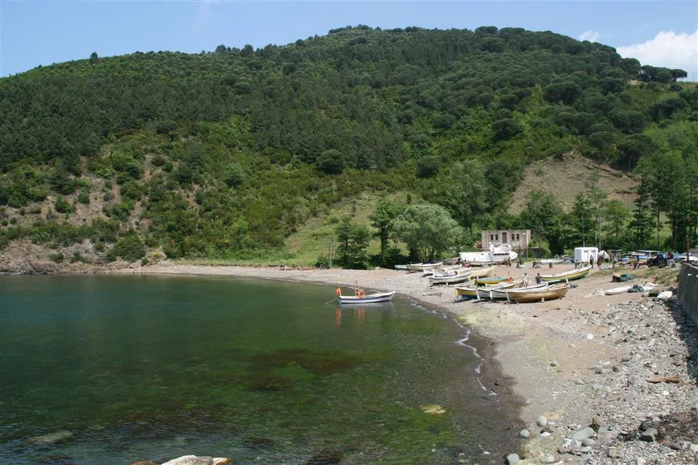 Akkonak Koyu’nun ormanlarla çevrili kıyısı ve küçük limanı