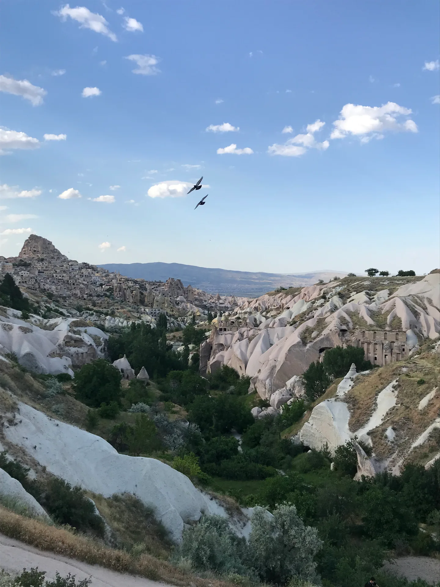 Kapadokya Güvercinlik Vadisi kaya oluşumları