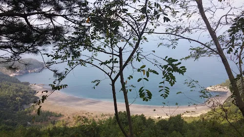 Gömü Köyü yakınındaki ormanlık yamaçlardan Karadeniz kıyısına bakış
