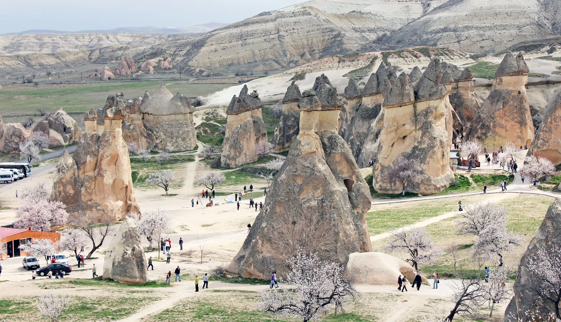Paşabağları Göreme yönündeki peri bacaları