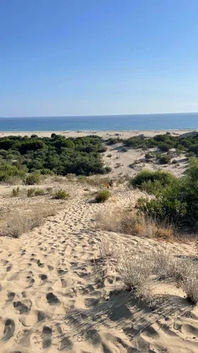 Patara Plajı ve Kum Tepeleri